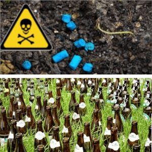 Schneckenabwehr: die (schädlichen) Methoden, die man meiden sollte – warum und wie?