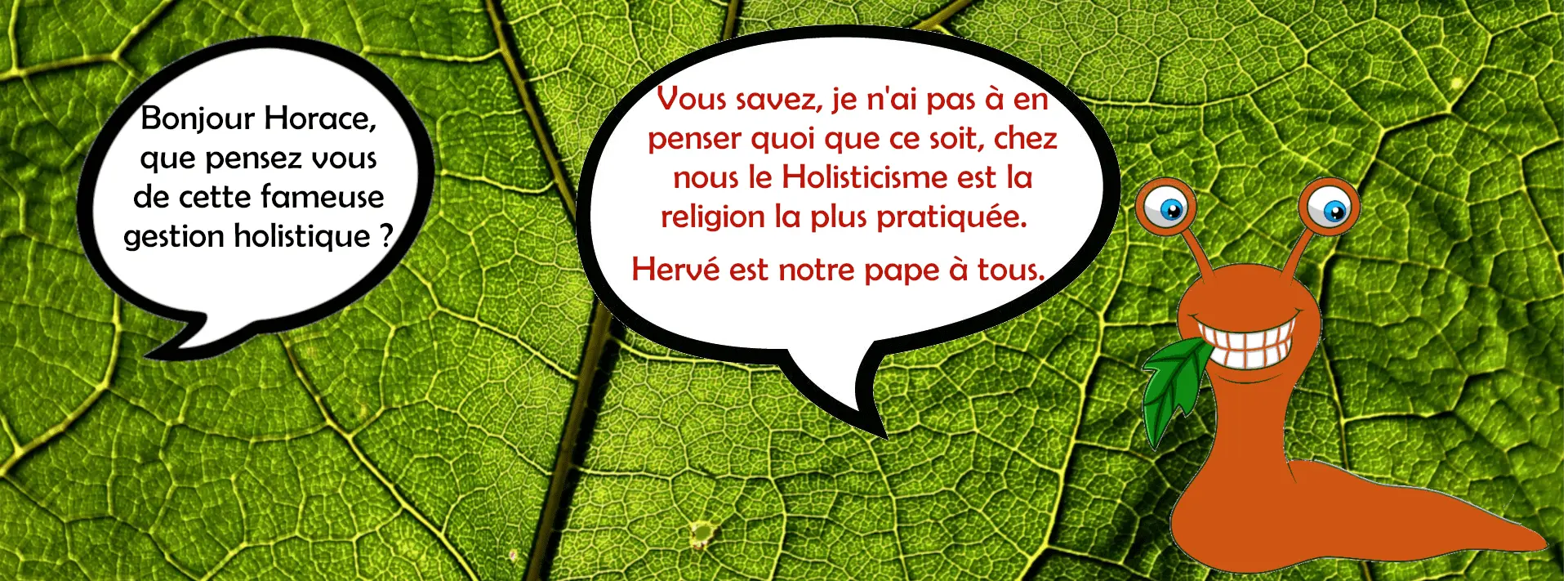ganzheitliche Schneckenregulierung Hervé Coves