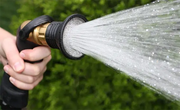 Nematoden werden in Wasser verdünnt angewendet