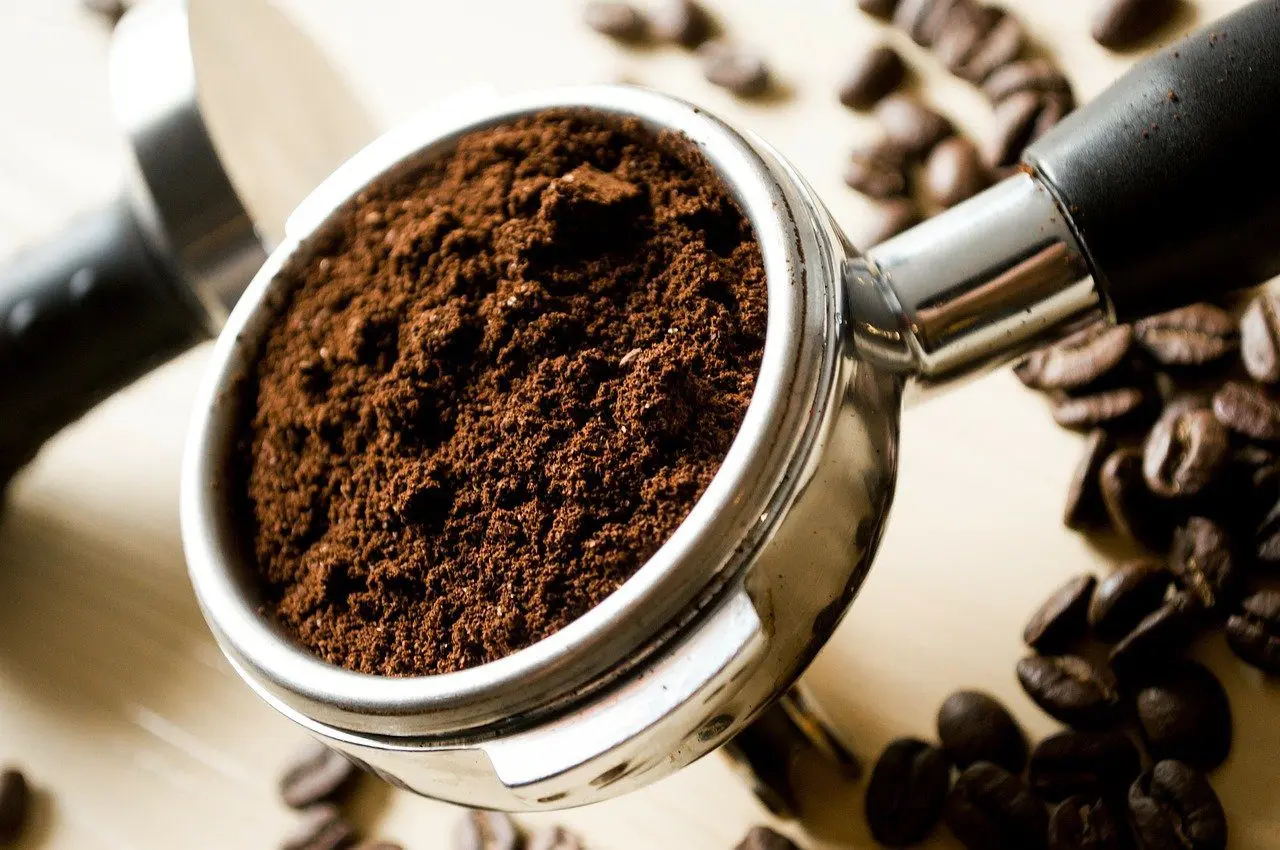 Kaffeesatz gegen Schnecken