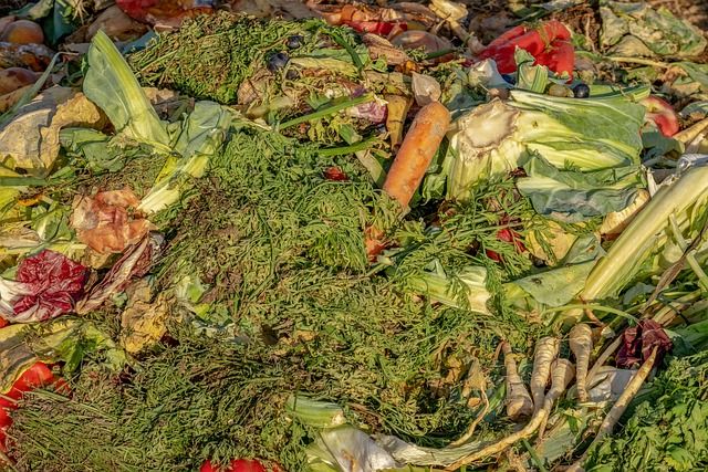 Flächenkompostierung: So schützen Sie Ihr Gemüsebeet mit Liebe vor Schnecken