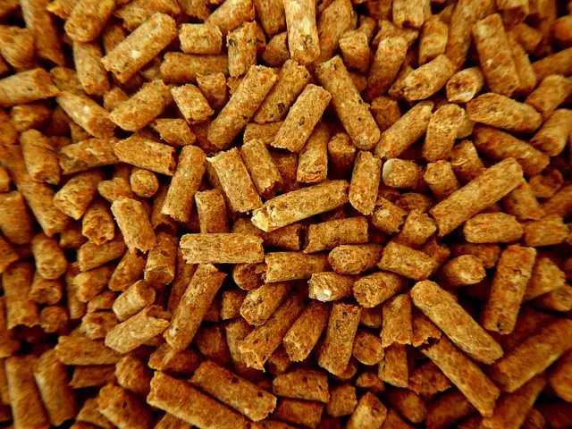 Pellets Indische Laufenten