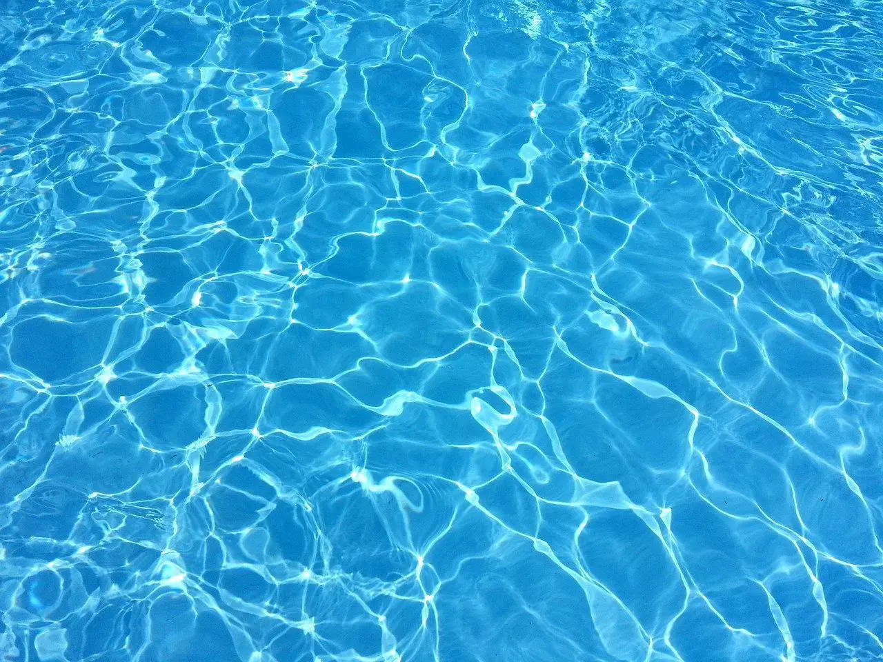 Igel ertrinken in Swimmingpools